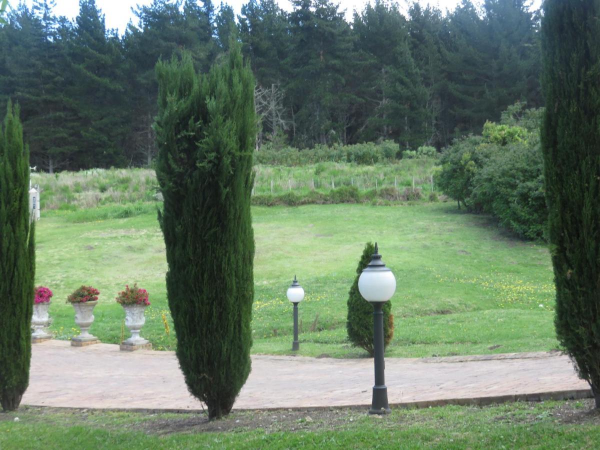 Cul De Sac - Accommodation George Zewnętrze zdjęcie